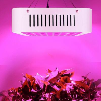 China Seed Starting SHENPU Plant Hanging Light 650W Led Grow Lights AC85 - 600 Watt 265V Plant Grow Led Light for sale