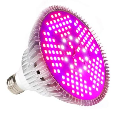 China Seed Starting SHENPU Plant Seed Bulbs AC 85 - 265V 80W E27 Plant Seeds Led Bulbs Grow Light for sale