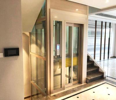 China Home Use / Hotel Glass Shaft Panoramic Platform Lift For Handicapped for sale