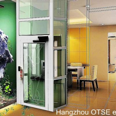 China High Quality Home DIY 2 Person Elevator OTSE Cheap Home Elevator For Disabled for sale