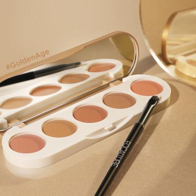 China Focallure #GoldenAge 5 in 1 Concealer Multi Palette Uses High Cover Light Weight During Waterproof Portable Concealer Makeup for sale