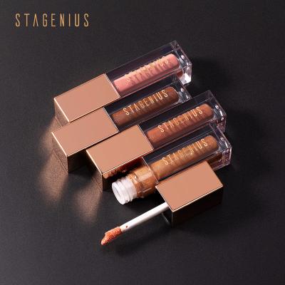 China New Launch Stagenius 2020 Waterproof Moisturizing 8 Colors Shimmer Lip Gloss Waterproof Moist Shimmer Lip Gloss for sale