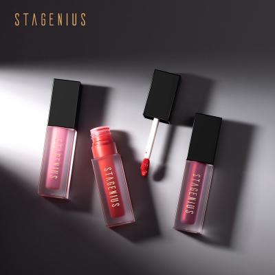 China Waterproof Makeup Matte High-Pigmented Lip Cream Soft Stagenius Lipstick for sale