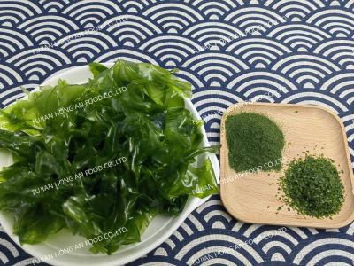 China Dehydrated Dried Sea Lettuce Edible Algae Sprinkle Superfood Spice HACCP Certified for sale