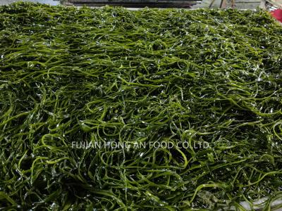 China 1 Jahr Haltbarkeit Kelp Kombu Sprossen Meeresgemüse Grüne Farbe Umami Geschmack zu verkaufen