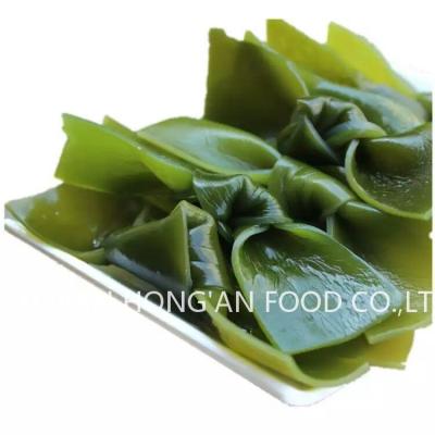 China Océano fresco Los brotes de algas verdes para ensaladas, Kombu Kelp Vegetales marinos para el restaurante japonés en venta