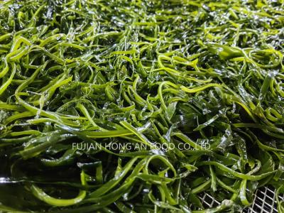 China Seco de las semillas de kelp de Kombu de Corea, vegetales marinos con sabor a umami, aprobado por el HACCP en venta