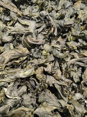 China Nutrient Rich Kelp Shoots with Zesty Umami Flavor - Store up to a Year for sale