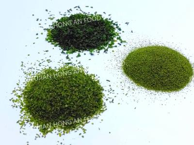 China Sabor de umami crujiente Aonori Alga de mar en polvo salpicado Ulva Lactuca Lavar verde seco o alga de mar en venta