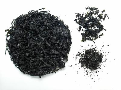 Cina Forma rotonda Alghe marine Porphyra Yezoensis Umami Sapore Lavanda secca Nori istantaneo per snack di zuppa in vendita