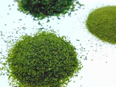 China Grade Alimentar Ulva Lactuca Orgânico Premium Nori Aonori Algas Secas Para Ser Esparramadas Sobre Alimentos Japoneses à venda