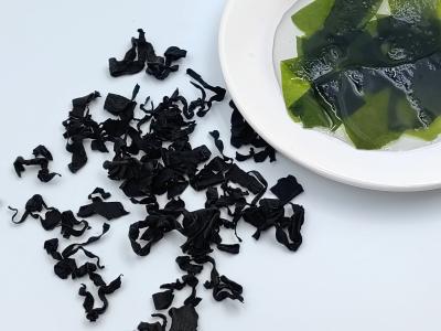 China HACCP Organic Wakame Undaria Pinnatifida Seco Alga Para Sopa Japonesa Coreana à venda