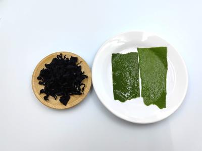 China Alga Wakame Seca Mostarda do Mar Japonês Reforçador do Sistema Imune Undaria Pinnatifida Para Sopa Coreana à venda