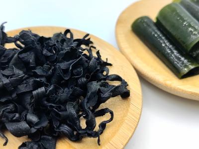 China Umami Natural Wakame Seco Alga de Mar Undaria Curly Flake Alto Conteúdo de Iodo Para Fazer Sopa à venda