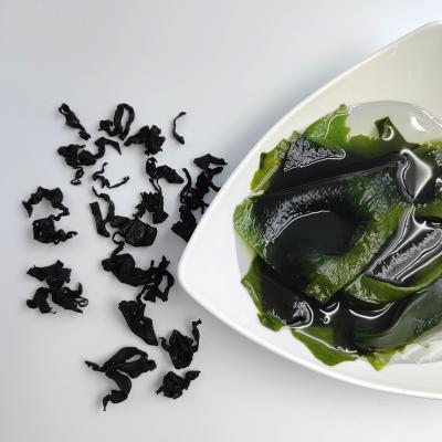 China Nutriente Denso Aea Fern Negro Wakame Seco Algas Marinas Ricas em Vitaminas Minerais Para Fazer Sopa à venda