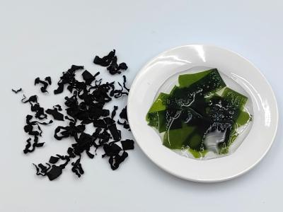 China Undaria Pinnatifida Wakame Seco Miyeok Coreano Rico em nutrientes Undaria Alga Para criações culinárias japonesas à venda