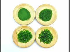 Japan Aonori Ao Nori Ko Flakes Green Ulva Seaweed Laver Powdered For Sprinkling On Fried Food