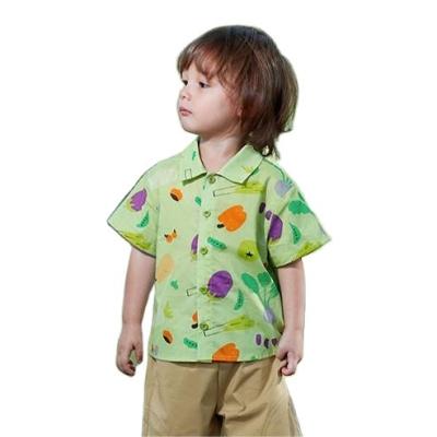 China OEM Breathable Wholesale High Quality Cute Color Intersected Fruit Vegetable Pattern Shirts For Kids Boys for sale