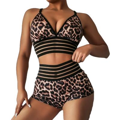 China QUICK DRY Latest Fashion Leopard Wholesale Sexy Women Bra Sets for sale