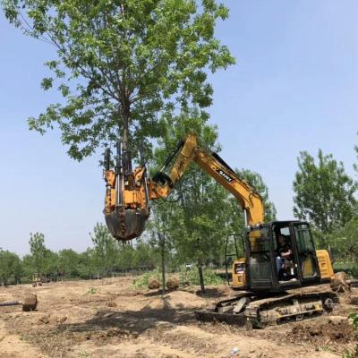 China Farms Tree Transplanting Machine Tree Moving for sale