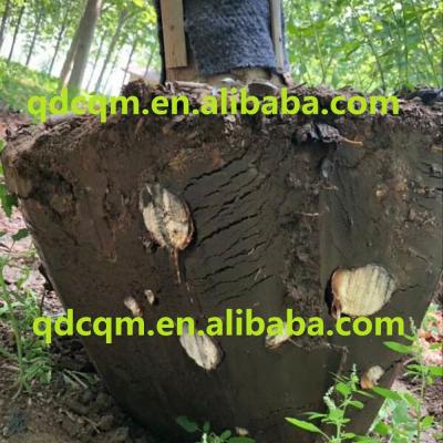 China Garden Shovel Skid Beef Loader Front Part Tree Digging, Uprooting Tree, Tree Transplanting Machine for sale