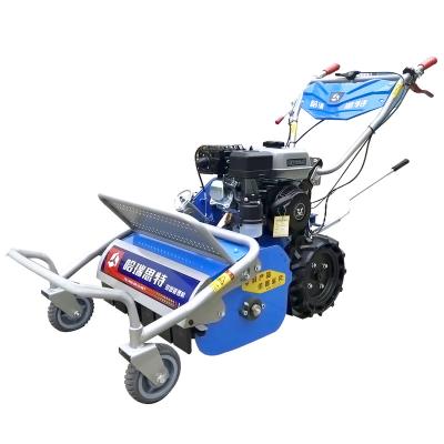 China Gasoline Engine Flail Mower Garden Grass Cutter Self Propelled Lawn Mower for sale