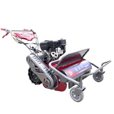 China Grassland Gasoline Lawn Chopper Hand Push Lawn Mower Grass Chopper for sale