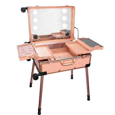 China Rose Gold Makeup Train Suitcase Cases Lighted Travel Organizer Cosmetic Case Makeup Rolling Train Case With Led Light for sale