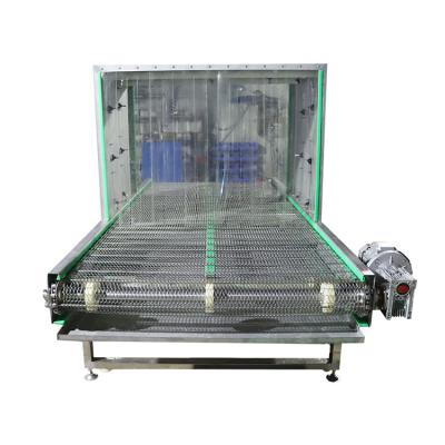 China Conveyor Belt Sterilization Machine Heat Resistant Fish Carton Packing Box Sterilizer Tunnel Outer Packing Sterilizer for sale