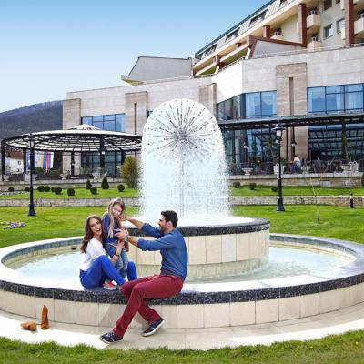 China All FREE DESIGN Garden Dandelion Shape Outdoor Water Fountain for sale