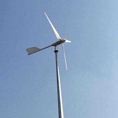 China 2KW Wind Power Generator Tengyu Technology 2000W 12/24/48V Wind Turbine Wind Generator 2 KW Wind Power Generator for sale