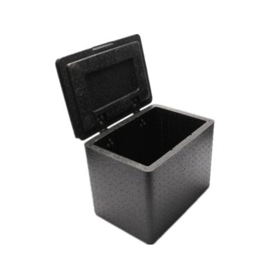 China Modern Minimalist Wholesales Portable Durable PPE Flip Container Increased Polypropylene Foam Cooler Insulation Box For Cold Chain Transport for sale