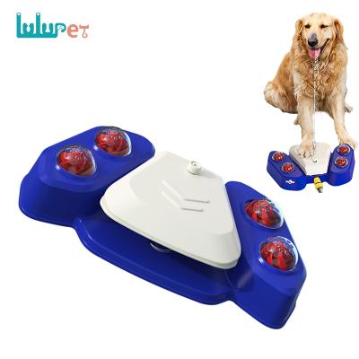 China New Design Automatic Dog Water Fountain Step On Dog Toys Play Outdoor Interactive Pet Fountain Water Dispenser for sale