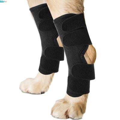 China Wholesale Viable Dog Knee Pad Leg Brace Comfortable Nylon Lining Puppy Hind Joint Care Knee Brace For Dogs for sale