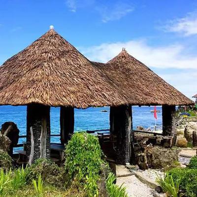 China Antiseptic Custom Synthetic Recycled Thatch Roof Simulation Thatched Park Roof Decorative Thatch for sale