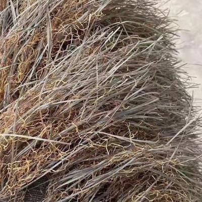 China New Explosive Traditional Synthetic Palm Leaf Carpet Palm Roof Thatch Artificial Thatch Tile for sale