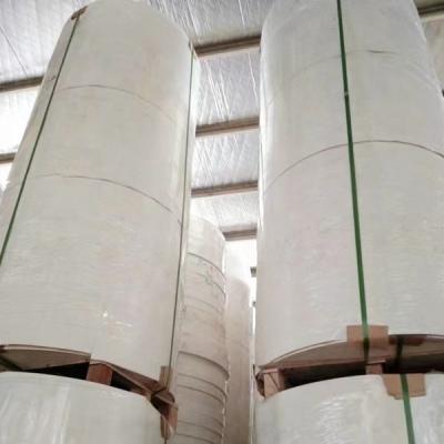 China Waterproof Coating PE White Paper Roll For Making Paper Cup Waterproof Factory Price for sale