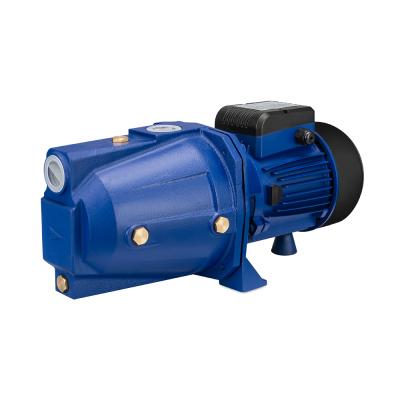 China Family Homes High Pressure Garden 750 Watt Water Pump Jet 100 Electric Motor For Home Use for sale