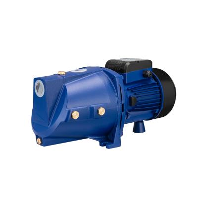 China High quality efficiency 1hp garden jet electric water pump for family homes for sale