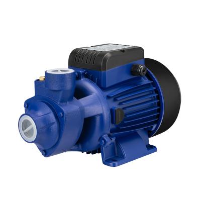 China Family homes China factory STRATEGY vortex water pump for sale for sale