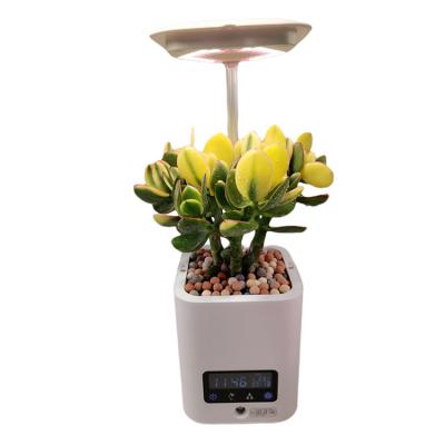 China Newest Modern High Quality Multifunctional Smart Mini Garden Usb Plant Pots Musical Flower Pot Wholesalers for sale