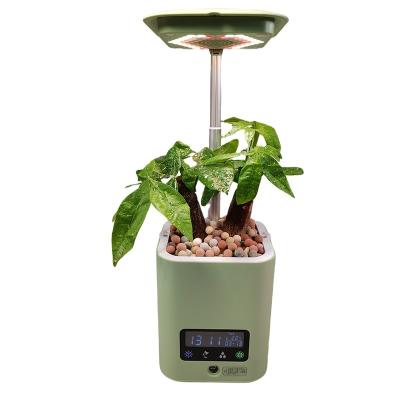 China Smart Green Plant Table Lamp Mini Plastic Music Humidifier Flower Pot New Modern Gifts For Home Living Room for sale