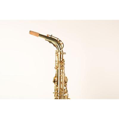 China H68 Low Moq Brass Band Types Alto Sax Customized Alto Saxophone for sale