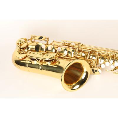 China Different Models of H68 Brass Band Types of Sax Alto Saxophone Customized Alto Saxophone for sale