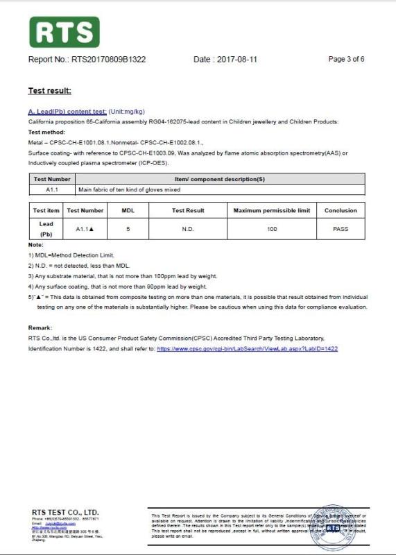 Lead(Pb) Content Test - Rsforever Group Co., Limited