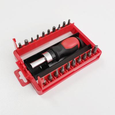 China Hot Selling DIY New Products 21pc Hand Precision Ratchet Screwdriver And Bit Set for sale