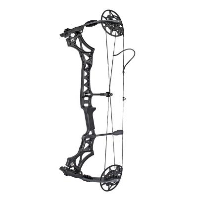 China Hunting OEM Wholesale Archery Compound Bow for Shooting and Hunting Adventures for sale