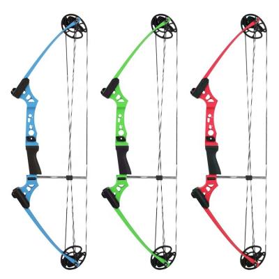 China Youth Archery Shooting Compound Bow For Kid Gift With 10-20lb for sale