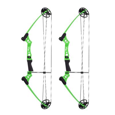 China Outdoor Sports Youth Compound Shooting Bow For Shooting Target for sale