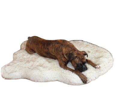 China Viable Amazon Border Plush Pet Rug Warm Blanket Rug Hot Selling for sale